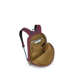 Osprey Arcane Small Day Allium Red/brindle Brown 15 Osprey Arcane Small Day Allium Red/brindle Brown -Mode Tassen Winkel image 8522