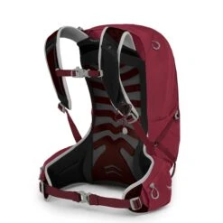 Osprey Talon 22 Backpack L/XL Cosmic Red 5 Osprey Talon 22 Backpack L/XL Cosmic Red -Mode Tassen Winkel image 9750